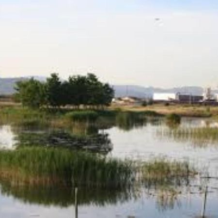 Apartamento Cerca De Playa Y Montana Ideal Familias O Relax Puzol Luaran gambar